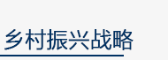 宝盈国际
